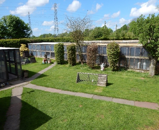 Dog Kennels in Knutsford